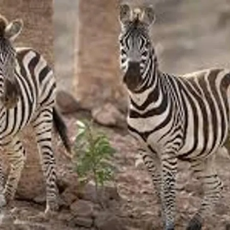 1-bed Sleeps 2 Sunbeds & Towels Appartement Caleta de Fuste