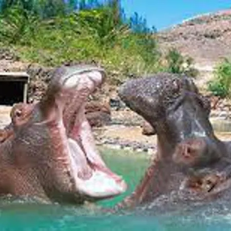 Apartament 1-bed Sleeps 2 Sunbeds & Towels