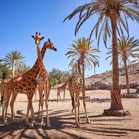 1-bed Sleeps 2 Sunbeds & Towels