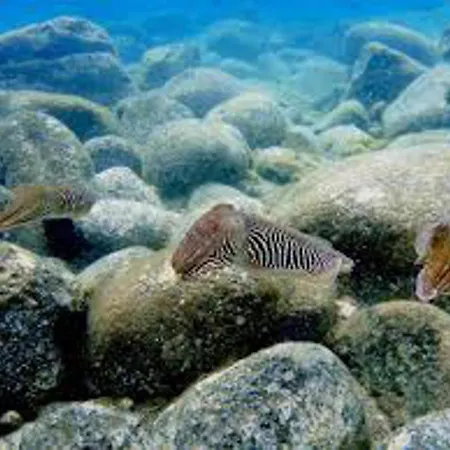 1-bed Sleeps 2 Sunbeds & Towels * Caleta De Fuste