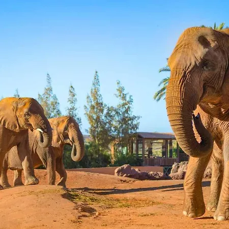 1-bed Sleeps 2 Sunbeds & Towels