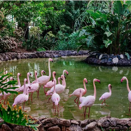 1-bed Sleeps 2 Sunbeds & Towels Daire Caleta De Fuste